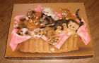 Pzl4152 Springbok Kitten Caboodle 500 079346025060