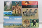 Pzl4440 Springbok Piece Jigsaw Puzzle Africa Animal Scene African Anthology