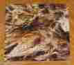 Pzl7113 Springbok Gnarled Wood Vtg Mini Puzzle Nature Poem Alfred B Street