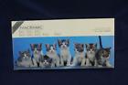 Pzl9801 Springbok Authentic 700 Pc