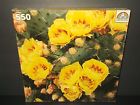 Random House Happy Group Vtg 80s Yellow Flowers Prickly Pear Cactus Puzzle 550 Pc Nos Sealed 038457070123
