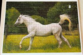 Ravensburger 814938019924 In The Paddock 1983 750 Piece Jigsaw Puzzle 1 Missing