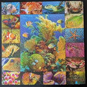 Springbok 091683025145 Encyclopedia Britannica Aquatic Collection 500 Jigsaw Puzzle Fish Ocea