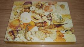 Springbok Pzl4060 Sea Treasures 500 Piece Jigsaw Puzzle 18x23 Inch Complete #2