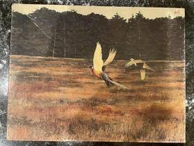 Springbok Pzl4096 Vtg Wings Of Autumn 500 Piece Puzzle Pheasant Complete