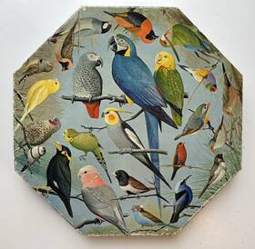 Pzl8022 Springbok Vtg 1968 Okta-puzzle Inch Aviary Birds By William C. Dilger - Complete