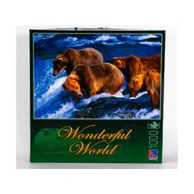 Sure-lox 686141426550 Sure-lox Jigsaw Puzzle Wonderful World - Bears Fishing 1000 Pieces Vg/nm