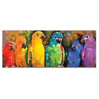 Tagrq0qod00r-us Melissa Doug Parrot Rainbow Jigsaw Puzzle Over Feet 000772090919