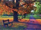 Taq7loxy1x47-us Melissa Doug Piece Walk In The Park Jigsaw Puzzle Inches
