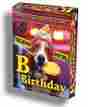 Tdc7109 Tdc Games Alphabet Mystery Puzzle B Is For Birthday Jigsaw Puzzles 018886071090