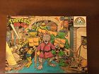 Teenage Mutant Ninja Turtles Splinter Rat 100 Pieces Jigsaw Puzzle Tmnt Vintage 038457801420