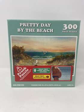 89050 Wilder Games Prank Joke Puzzle Pretty Day By The Beach 300 Piece - Sealed