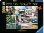 New(damaged Box)ravensburger 17469 Canadian West Coast Tranquility 1000PC Puzzle. Fixed Price $22.95.