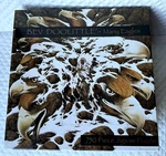 Bev Dolittle "many EAGLES"750 Piece Jigsaw Puzzle Ceaco 2002 Complete,signed 22". Fixed Price $15.99.
