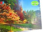 Baden Aargau, West Germany 1000 Piece Jigsaw Puzzle #4962-23 (milton Bradley). Fixed Price $24.32.