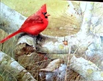 American Cardinal Springbok 500 Piece Puzzle By Marjolein Bastin (XZL4496) - New. Fixed Price $9.99.