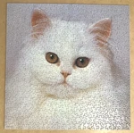 Springbok Jigsaw Puzzle Snowball Over 500 Pieces- PZL2088 Pre-owned Complete. Fixed Price $24.95.
