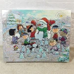 500 Pc Puzzle, Peanuts Winter Wonderland, Charlie Brown Snowman, Hallmark. Fixed Price $24.95.