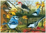 Jack Pine Backyard Feeder 1000 Piece Jigsaw Puzzle. Fixed Price $20.69.