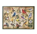 Popular Backyard Wild Birds Of North America Puzzle, Cobble Hill, New. Fixed Price $19.00.