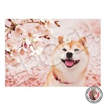 New Epoch 108-PIECE Jigsaw Puzzle Animals/pets Dog Springtime! 18.2 X 25.7 Cm. Fixed Price $21.22.