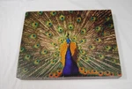 Vintage Springbok Preening Peacock Jigsaw Puzzle 500+ Pieces PZL4119 Made Usa. Fixed Price $15.00.