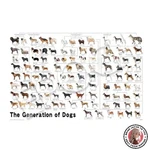 New Epoch 1000-PIECE Jigsaw Puzzle Animals/pets Dog Family Tree 50X75CM. Fixed Price $65.01.