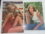 Lot 2 Vintage 1977 Farrah Fawcett Jigsaw Puzzles Glued Into Posters. Fixed Price $25.99.