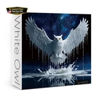 Owl For Adults 1000 Pieces, Fantasy Art Jigsaw Puzzle, Animal Galaxy N.... Fixed Price $18.45.