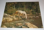 Arabian Stallion - Vintage Springbok 1000 Piece Horse Puzzle Assembled. Fixed Price $35.00.