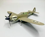 Hasegawa Curtiss P-40 Warhawk Burma Banshees 1/72 Built Up Model Airplane. Fixed Price $9.99.