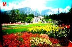 Miton Bradley "canada Flower Garden" Croxley 500 Pieces New!! 1989 Puzzle. Fixed Price $9.24.