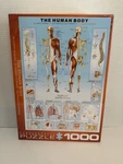 New The Human Body 1000 Piece Jigsaw Puzzle Eurographics. Fixed Price $30.00.