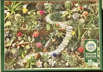 1,000 Piece Jigsaw Puzzle Cobble Hill Of Succulent Garden. Fixed Price $14.24.