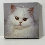 Snowball Cat Kittenjigsaw Puzzle 500 Piece Springbok Hallmark Cards Complete. Fixed Price $17.99.