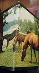 Vintage Warren Mini Puzzle "horses & Clover" 100+ Pieces 6.5 X 11" No. 555. Fixed Price $21.00.