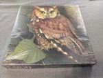Vintage Sealed Night Watch Owl Jigsaw Puzzle Eaton 1983 Nos New. Fixed Price $24.99.