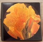 Vintage 1978 Springbok Beauty Unfolding Round Circular Jigsaw Puzzle Used. Fixed Price $28.00.