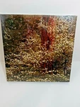 New 1972 Vintage Springbok Puzzle Dogwood Trees 2053 Photo By Richard Kauffman. Fixed Price $85.00.