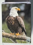 Yellowstone American Eagle Mini Jigsaw Puzzle 140 PIECES/5X7. Fixed Price $5.00.