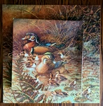 Complete Vtg 1982 Springbok Family Outing Wood Duck Jigsaw Puzzle #PZL2109 500PC. Fixed Price $14.99.