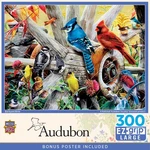 Masterpieces - Audubon Backyard Birds 300 Ez Grip Jigsaw Puzzle. Fixed Price $16.99.