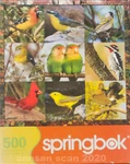 Springbok Jigsaw Puzzle Songbird Symphony PZL1JIG02511 2009 Made Usa Complete. Fixed Price $10.00.