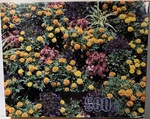 Flower Garden Chartres France Merrigold Press 500 Piece Puzzle 14 X 18 Sealed. Fixed Price $20.45.