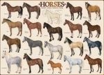 Eurographics Horses 1000 Piece Jigsaw Puzzle. Fixed Price $22.99.