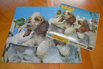 Vtg Jigsaw Puzzle 650 Pcs, Jaymar Pussies Posies & Puppies #66334 Cocker Spaniel. Fixed Price $12.00.