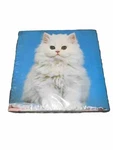 Vintage 1980 Springbok Hallmark Mini Jigsaw Puzzle "you're Purr-fect". Fixed Price $15.00.
