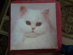 Pre-owned Springbok Snowball Over 500-PIECE Jigsaw Vintage Puzzle. Fixed Price $40.00.