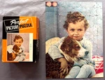 Perfect Picture Puzzle Vintage "buddies" Boy With Dog Complete Box Usa. Fixed Price $20.00.