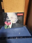 White Cat On Piano Keys Puzzle 550 Pieces Vintage 1987 Complete? 18"X24" Sealed. Fixed Price $19.99.